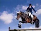 Пройдут соревнования по конному спорту, посвящённые Дню защитника Отечества